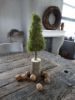 Picture of Kerstboom mos 38 cm
