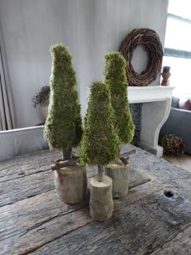 Picture of Kerstboom mos 38 cm