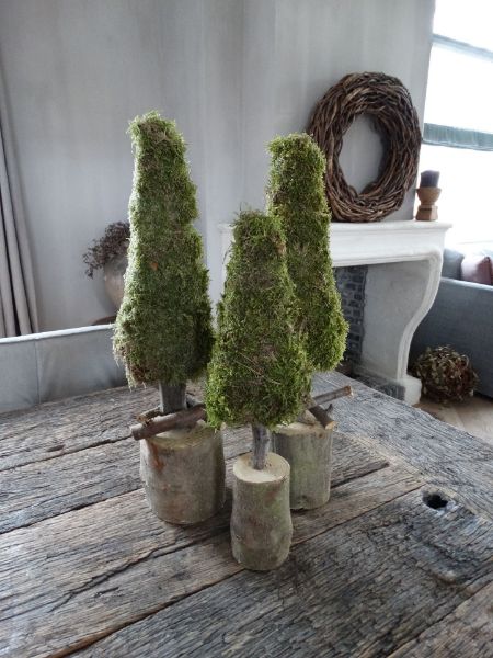 Picture of Kerstboom mos 38 cm