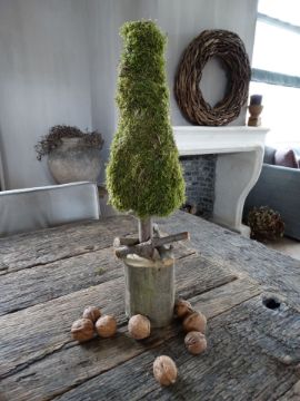 Picture of Kerstboom mos 50 cm