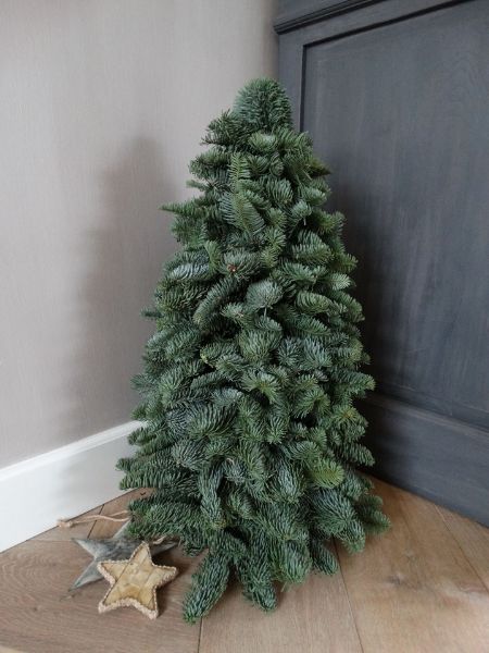 Picture of Nobilis kerstboompje 50 cm