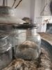 Picture of Glazen voorraadpot vintage medium