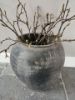 Picture of Magnolia takken 60 cm