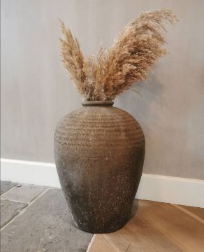 Picture of Pampas pluimen naturel