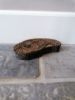 Picture of Oude unieke houten stempel nr 2