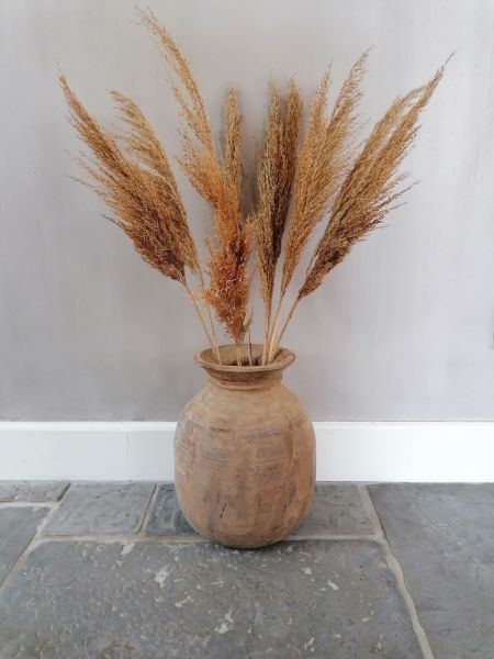 Picture of Pampas pluimen 70 cm warm naturel