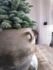 Picture of Oude Chinese pot met oor