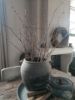 Picture of Kersenbloesem takken 90 cm