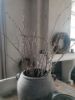 Picture of Kersenbloesem takken 90 cm