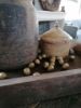 Picture of Kwarteleitjes als decoratie - goud