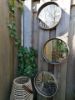 Picture of Spiegel rotan rond