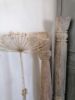 Picture of Gedroogde bereklauwen 130 cm