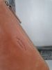 Picture of Lederen Clutch Camel Raw Materials