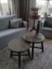 Picture of Stoere salontafel set/2 rond oud hout