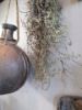 Picture of Hangende Sural pot met touw