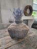 Picture of Oude vissers leemmand M