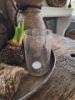 Picture of Windlicht bubbelglas hoog M