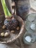 Picture of Originele oude leemmand rond S