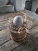 Picture of Zakje gedroogde Tillandsia mos