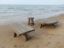 Picture of Landelijke robuuste salontafel - tuintafel 90 cm
