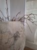 Picture of Grote oude rijst pot India nr.18