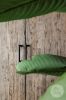 Picture of 2 drs kast Mexico | Capital Collection