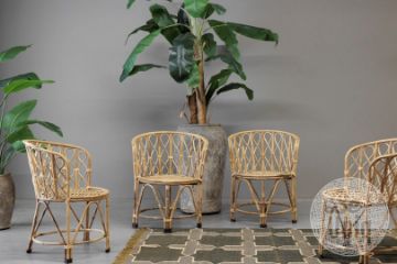 Picture of Stoel Rattan | India