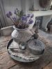 Picture of Bosje kunst tulpen Blue Parrot paars