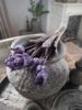 Picture of Bosje kunst tulpen Blue Parrot paars