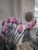 Picture of Bosje kunst tulpen roze