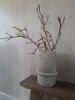 Picture of Landelijke pot Brynxz | Limestone | XL