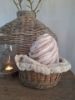 Picture of Betonnen Paasei PTMD Collection