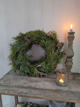 Picture of Pinus Bonsai krans 50 cm