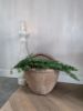 Picture of Kerst toef kunst Nobilis naturel