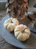 Picture of Mini pompoen setje van 4 beige