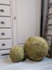 Picture of Mosbol XL 50 cm doorsnede
